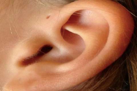 ¿Por qué unas personas tienen un hoyuelo en la parte superior de la oreja?