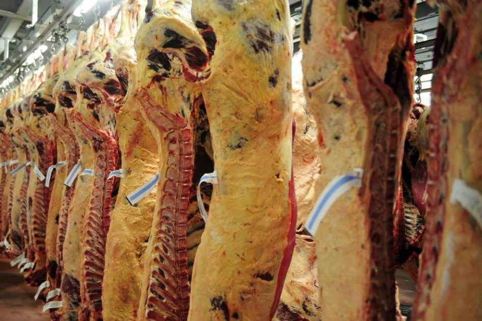 Los principales mercados de la carne bovina colombiana son Jordania, Líbano, Rusia, Vietnam, Hong Kong, Irak, Curazao, Perú y Libia. / Bloomberg News