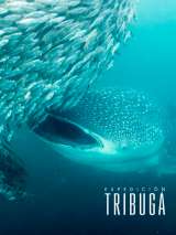 Se estrena el documental Expedición Tribugá