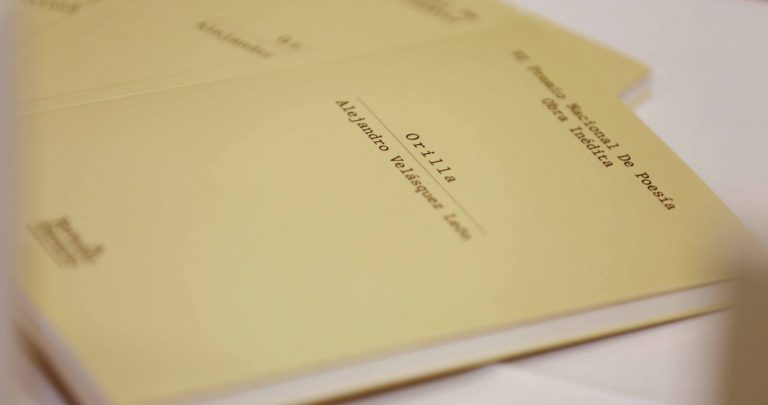 Poesía, sutil demencia