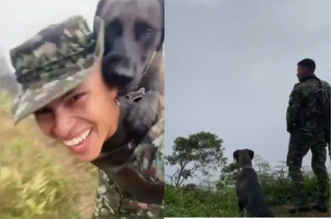 Soldado curó y rescató a un perro abandonado en medio de la selva (video)