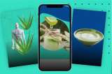 Aloe vera: ¿cómo usarlo para bajar de peso?
