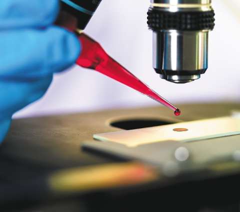 Células madre, ¿entre la ciencia y la charlatanería?