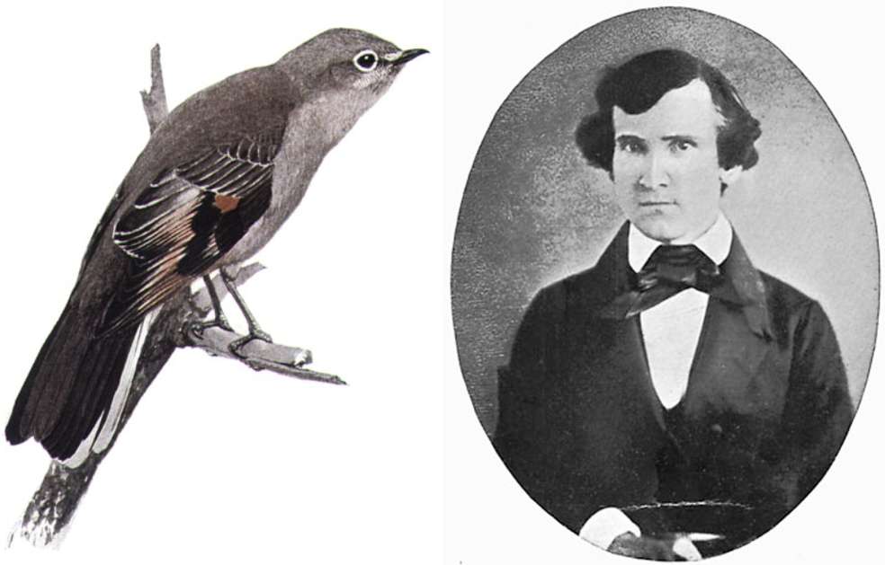 Townsend
