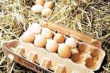¿Por qué aumentó el precio del huevo y el pollo?