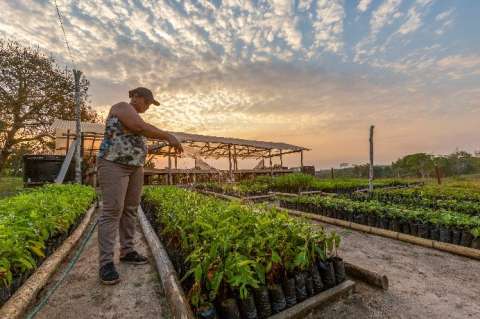 Comunidades de las Sabanas del Yarí le apuestan a la conservación de la Amazonía