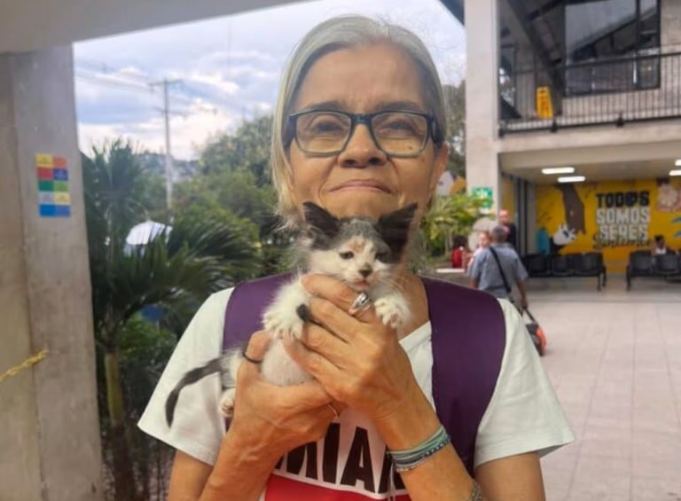 Asesinaron a reconocida animalista en Cali: tenía señales de asfixia