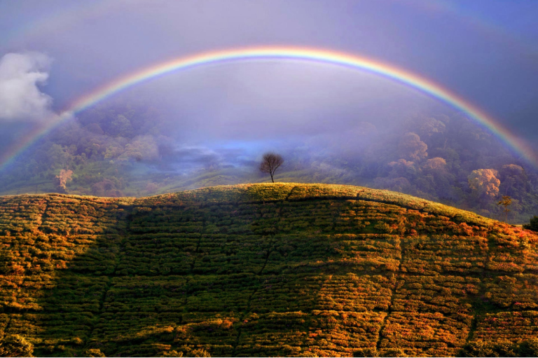 Arcoiris brumoso de Dani Agus Purnomo retrata a un arco iris sobre los campos de té, en Indonesia.