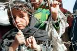 “Los refugiados han sido abandonados a su suerte, sin importar el costo humano”: MSF