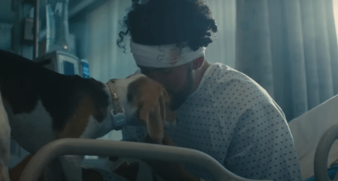 Bad Bunny dedica su nuevo video musical, “Ojitos Lindos”, a su perrita