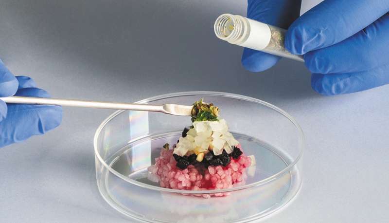Ejemplo de proteína animal que están desarrollando en Bife (Bio Ingeniería en la Fabricación de Elaborados), un laboratorio argentino. / Cortesía