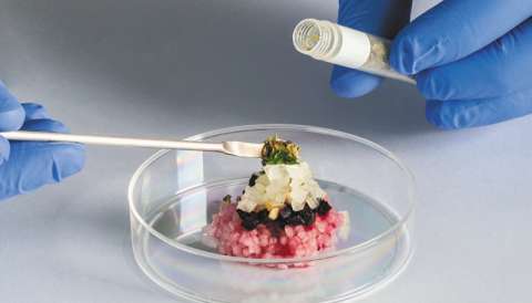 Carne sin matar animales: ¿Se comería una pechuga fabricada en un laboratorio?