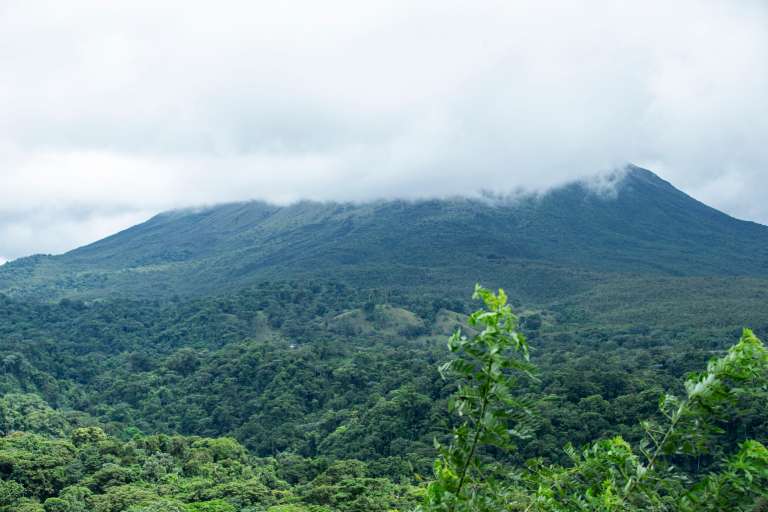 MISTICO PARK Y SUS PUETES COLGANTES COSTA RICA