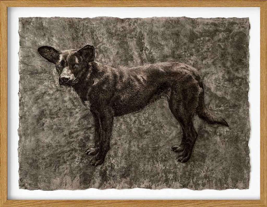 "Vestigios" de Claudia Porras es una serie de dibujos inspirados en la fauna urbana. La exposición se encuentra en Galería El Museo.