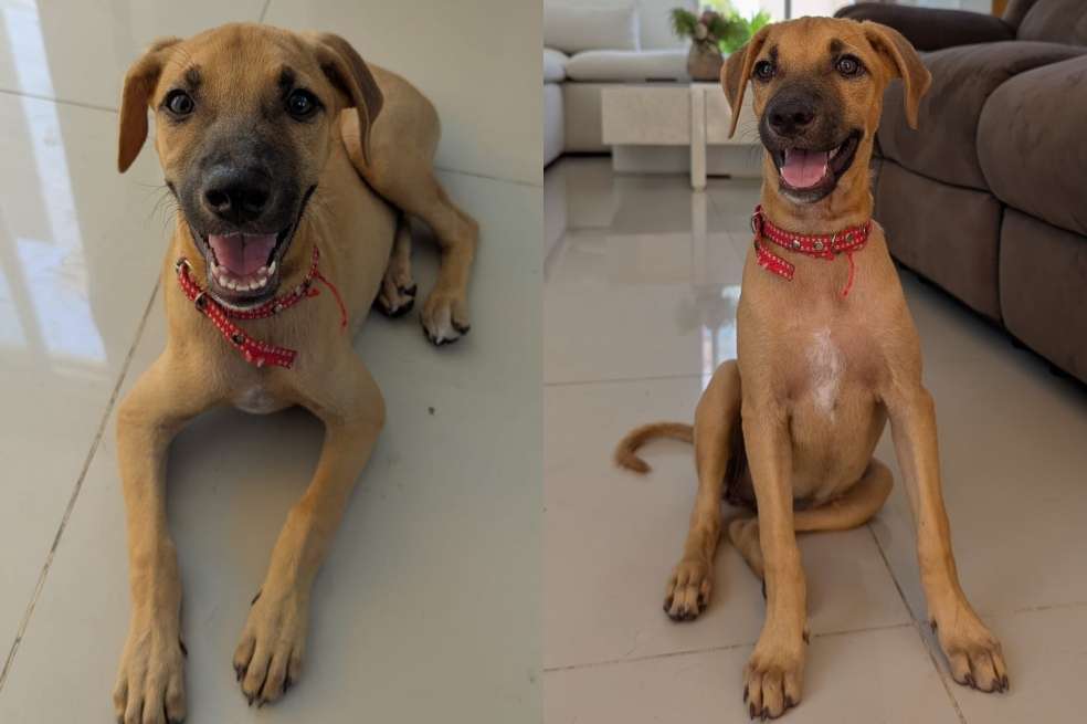 María Paz espera encontrar un hogar lleno de amor y cariño.