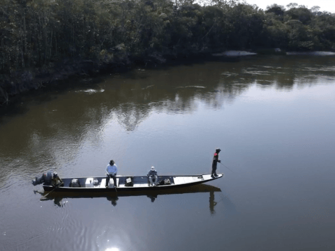 Pesca y acuicultura: el sector en expansión que atrapa el crecimiento de la economía