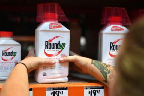 Francia retira permisos de venta a 36 herbicidas a base de glifosato