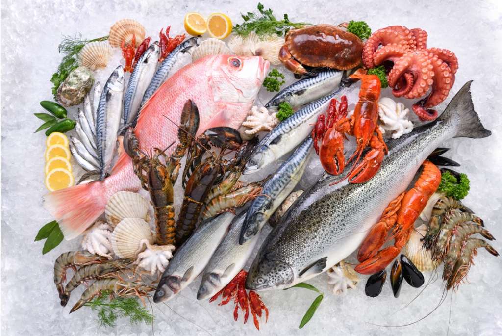 Variedad de pescados