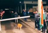 Perro se convierte en estrella al cruzar frontera entre Hungría y Rumania (video)
