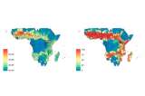 Tratar al ganado, la última estrategia africana contra la malaria