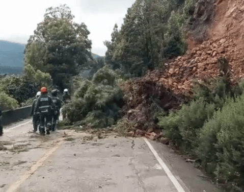 Cierran la vía Bogotá-Choachí por deslizamientos y árboles caídos