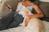 Apps para mascotas y veterinarios con IA: ¿por qué debe tener cuidado?