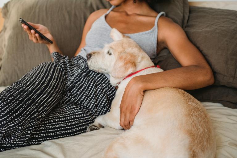 Apps para mascotas y veterinarios con IA: ¿por qué debe tener cuidado?