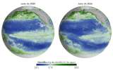 Satélites de la NASA detectan otro preocupante efecto de El Niño en la vida marina