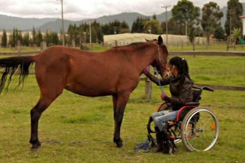 Implementan equinoterapia para rehabilitar niños con discapacidad cognitiva en Sumapaz