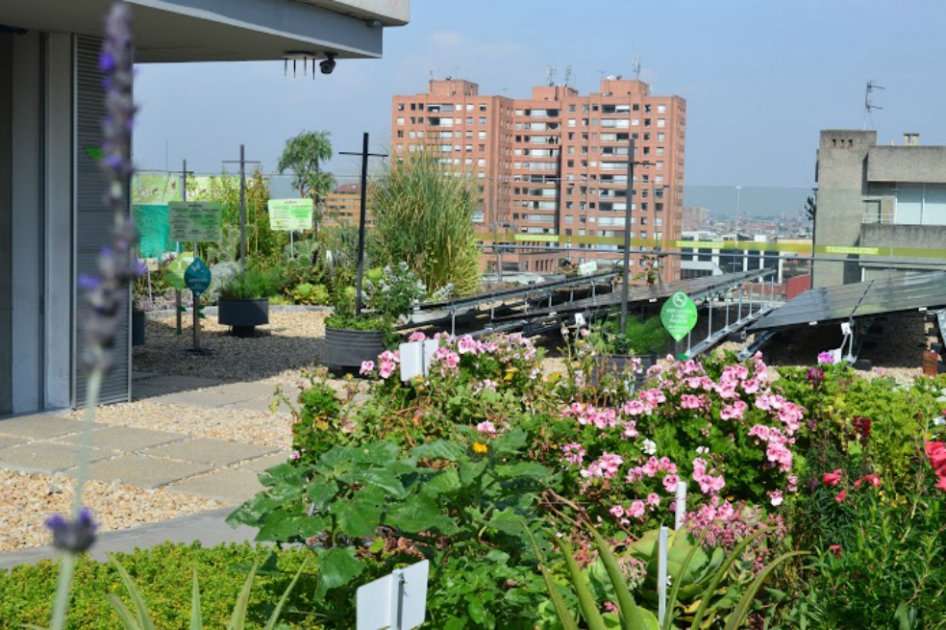 La terraza verde de la EAN, en la que se instalaron 25 paneles en 60 metros cuadrados para alimentar un edificio de ocho pisos. / Cortesía