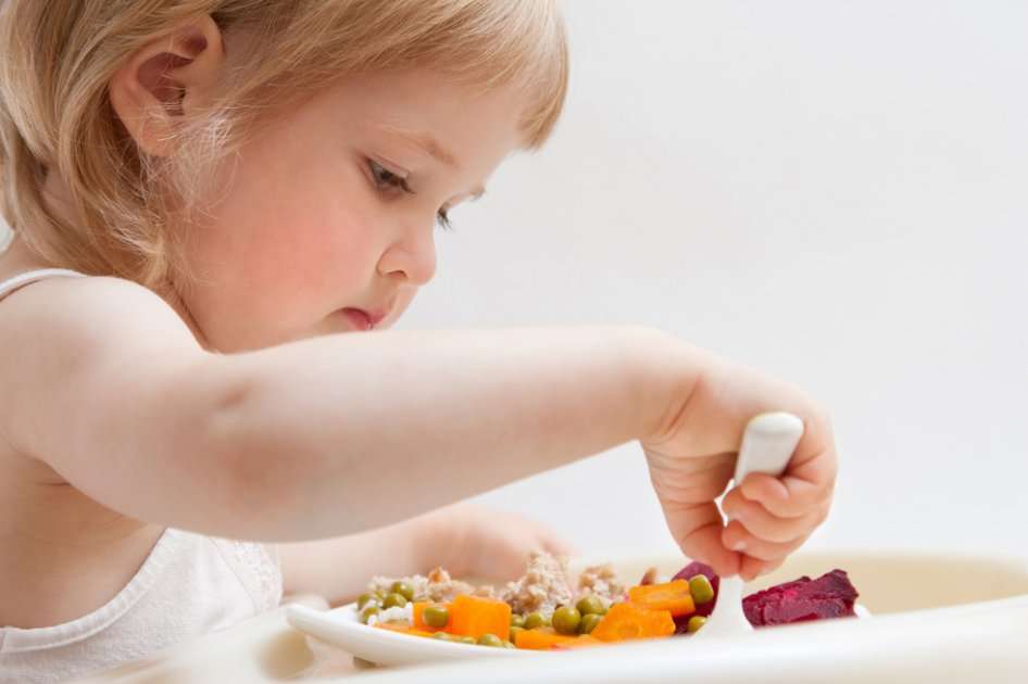 Los alimentos que debe consumir su hijo según cada etapa