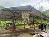 Matadero vertía residuos ilegales en zona ambiental protegida de Yacopí (Cundinamarca)