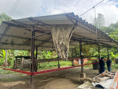 Matadero vertía residuos ilegales en zona ambiental protegida de Yacopí (Cundinamarca)