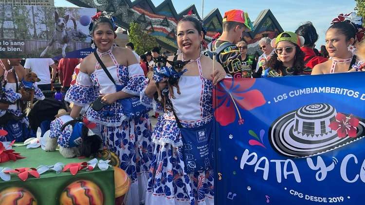 El Carnaval de Barranquilla también se vive con mascotas: así será el Pet Lovers 2026