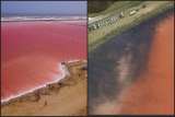 ¿Por qué se puso negro el “mar rosado” de Galerazamba?
