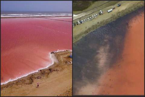 ¿Por qué se puso negro el “mar rosado” de Galerazamba?