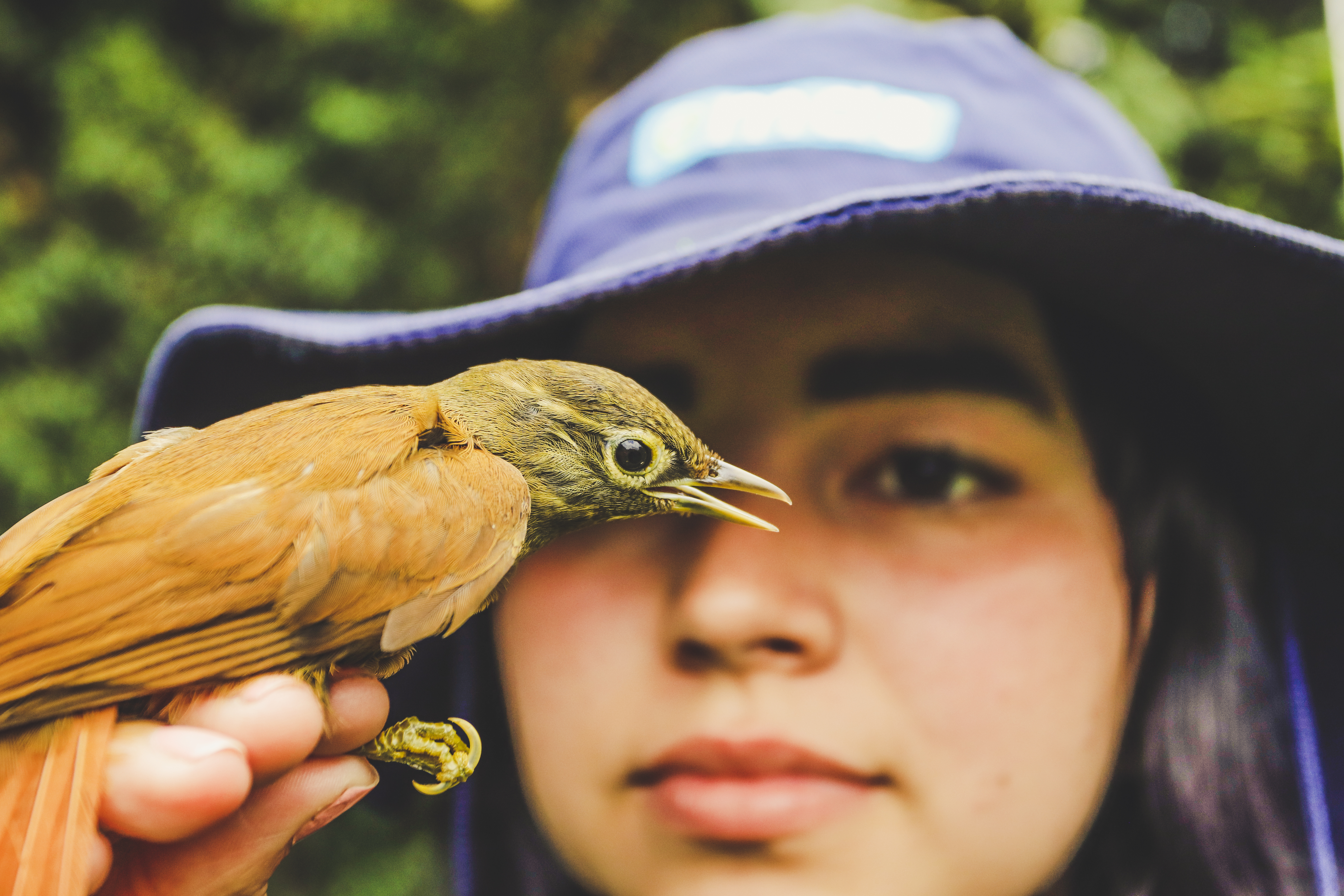 Los Parques Tecnológicos Ambientales de Veolia en Colombia, permiten actividades como el avistamiento de aves. La naturaleza es protagonista en medio de una operación de residuos. _ Parque La Esm