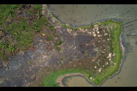 La sequía no sería la responsable de la mayoría de los incendios en la Amazonía