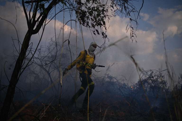 El Pantanal es un ecosistema que se caracteriza por las inundaciones que se reportan en la mayoría de meses de año. Sin embargo, en el último tiempo se ha visto afectado por una serie de sequías que los científicos han relacionado con la deforestación y el cambio climático.