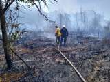 En fotos: incendio forestal en el área protegida Vía Parque Isla de Salamanca