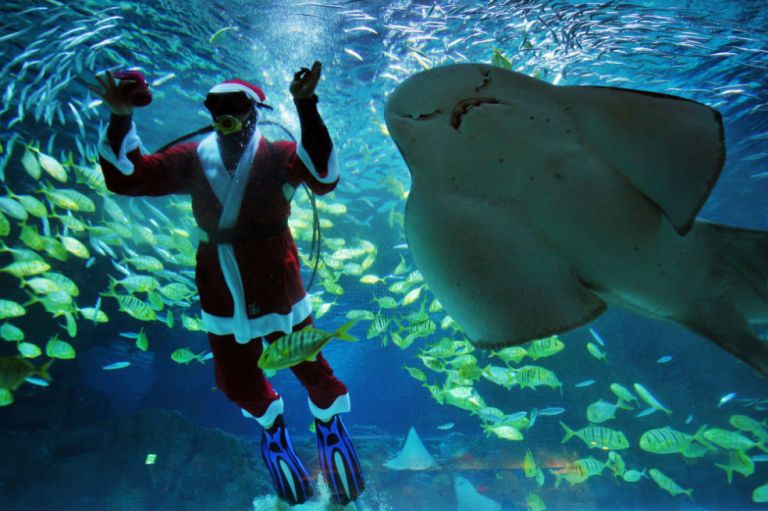 Papás Noel de todos los estilos se preparan para la nochebuena