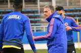 Conozca los horarios de los partidos de Colombia en la Copa América 2020
