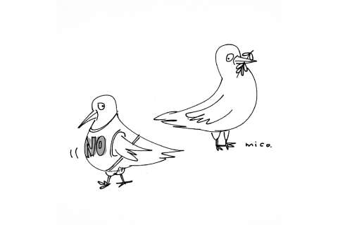 Mico