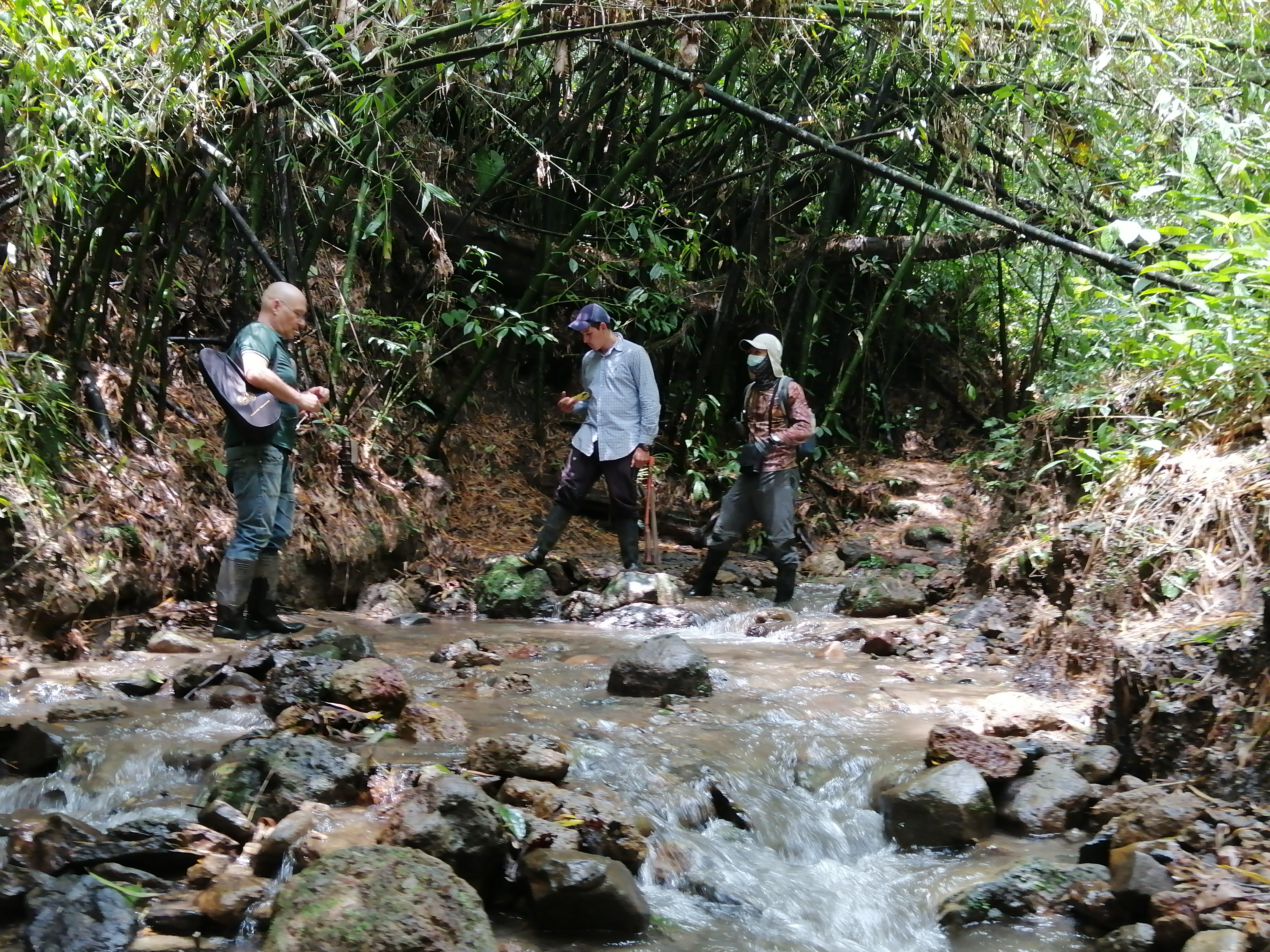 Quebrada Reserva Kasa Guadua - DRMI Salento