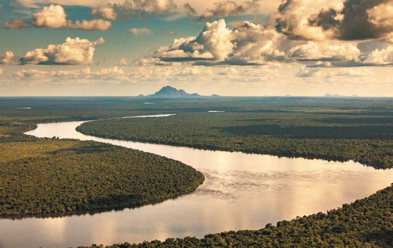 La COP15 de Biodiversidad se realizará en el tercer trimestre del año en Kumming (China).