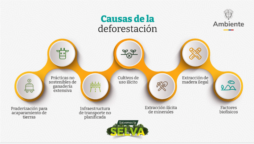 Balance de deforestación en Colombia 2023