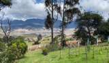 Calidad del aire mejoró en la ruralidad de Bogotá por las lluvias, confirmó la CAR