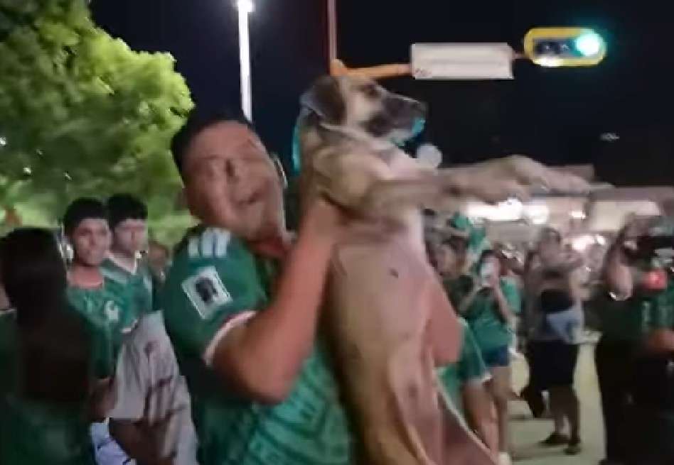 Las imágenes virales permitieron a una familia identificar a su mascota perdida hace un mes.