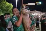 En video: perrita perdida hace un mes aparece en celebración del Mundial en México
