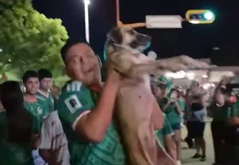 En video: perrita perdida hace un mes aparece en celebración del Mundial en México